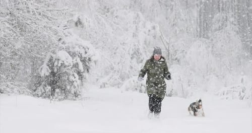 Woman and Dog Playing in Snowy Winter Forest