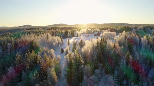 Aerial view stunning rainbow sunrays shining on Scandinavian snow covered woodland trees