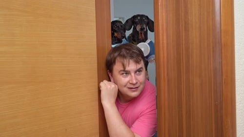 Man Opens Door With Two Dachshund Dogs Behind