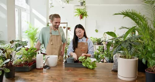 In a Welllit Indoor Garden a Man and a Woman Both Wearing Aprons Lovingly Tend