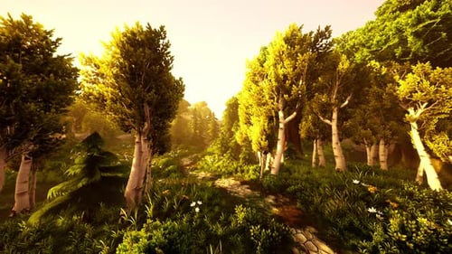 Cartoon Flowering Green Forest on Sunset