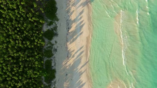 Vista do céu para a praia intocada de Tulum de cima para baixo — perspectiva aérea de um drone