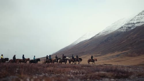 People riding horses in field near mountains with snow