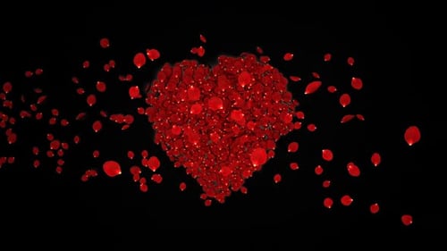 Romantic Red Rose Petals Heart Dissolve Transition