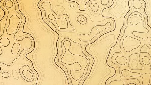 Abstract Sepia Topographic Flow Background