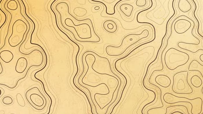 Abstract Topographic Frame Overlay, Backgrounds Motion Graphics ft ...