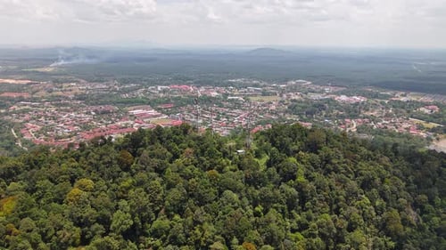 Red-roofed buildings cluster below the forest