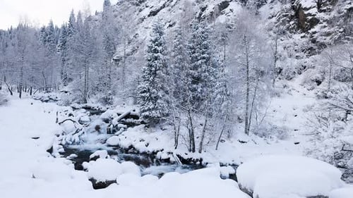 River at Winter Snow Forest in the Mountains
