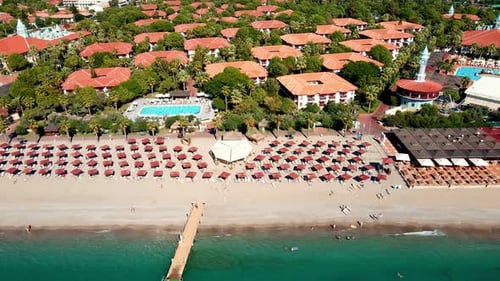 Aerial View of Umbrellas Palms on the Sandy Beach People Blue Sea with Waves at Sunset