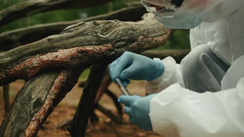 Taking Probe of Soil in Forest Geologist Man Worker Taking Measurements of Soil Probe By Scientific