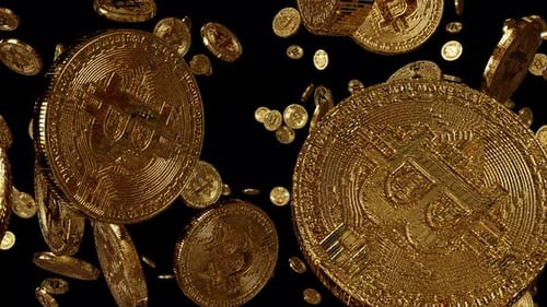 3D Golden Bitcoin Coins Falling Animation