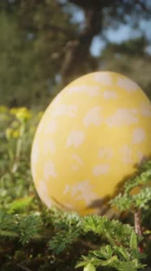502 Z 2305 1Three decorated Easter eggs are scattered on the grass in the forest among yellow flower