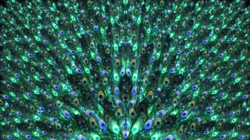 Elegant Shimmering Peacock Feather Design Loop Background