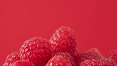 Ripe Red Raspberries Pile on Red Background