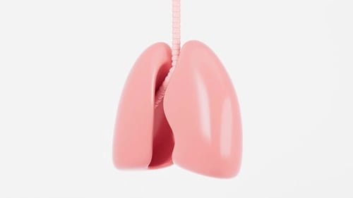 3D Animated Lungs for Medical and Healthcare Presentations