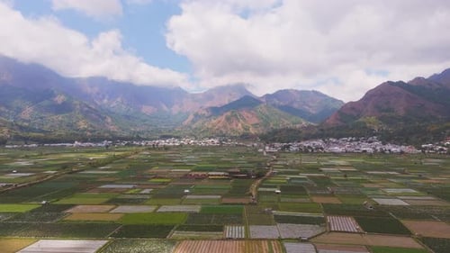 Luftaufnahme von riesigem Ackerland mit Dorf am Bergfuß in Lombok