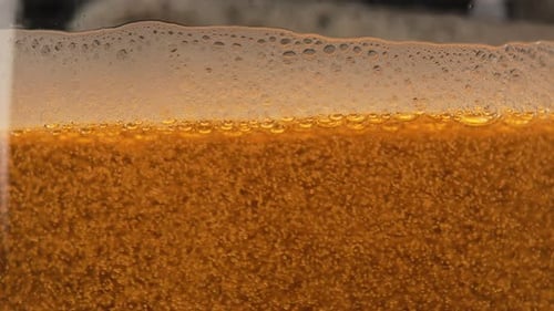 Beer bubbles rising in a glass close up. Beer foam in a glass, light craft lager beer