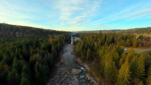Forest evergreen tree foliage in autumn, aerial above river nature landscape