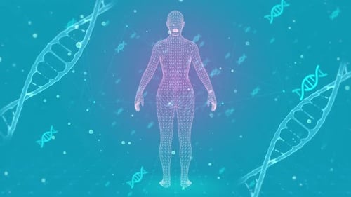 Wireframe Human Body and DNA Digital Animation