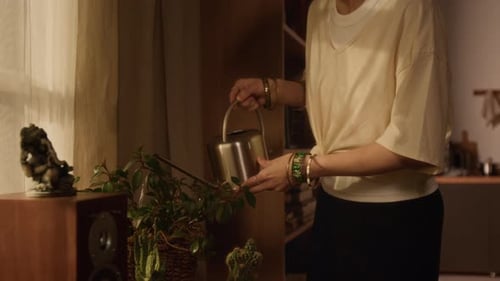 Woman Waters Plants in Home near Window