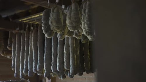 Delicious Salami Hanging in Dark Room