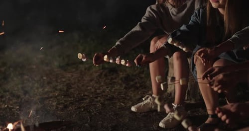 Friends Roasting Marshmallows Around Campfire at Night