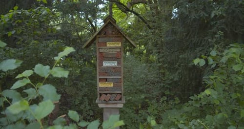 A quaint wooden insect hotel perched in the middle of the woods