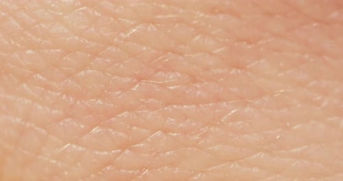 Hand Skin Texture Closeup Arm Surface Macro Shooting Body and Healthcare Hygiene and Medicine