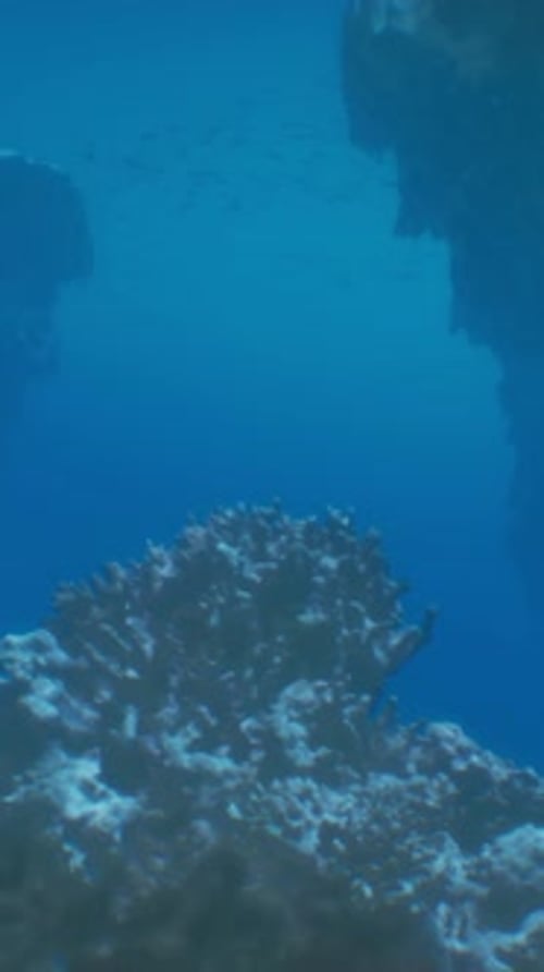 A Large Rock Sticking Out of the Water
