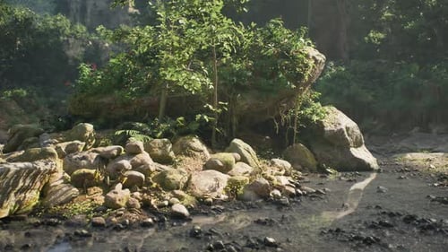 Paysage naturel tranquille avec des rochers et de la verdure au Laos pendant la journée