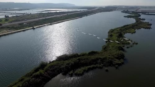 Flying Close to Pelicans Flock Near mediterranean sea,aerial Israel