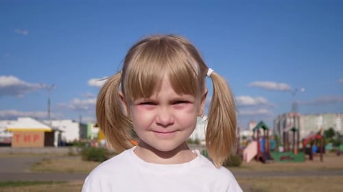 Smiling Girl with Pigtails at Playground on Sunny Day