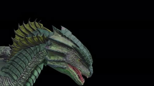 Dragon's Face : Idle Animation