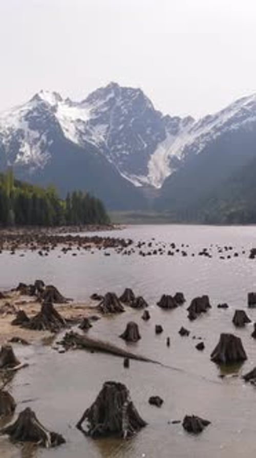 Paisagem deslumbrante de montanhas cobertas de neve, lagos e tocos de árvores expostos na Colúmbia Britânica