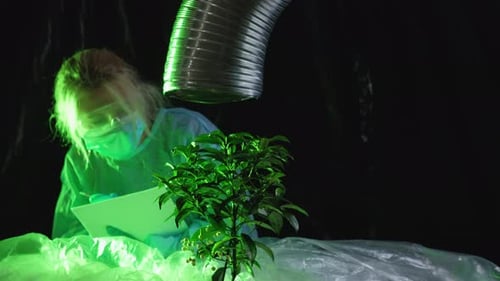 Scientist Studying Plant in Dark Lab Environment