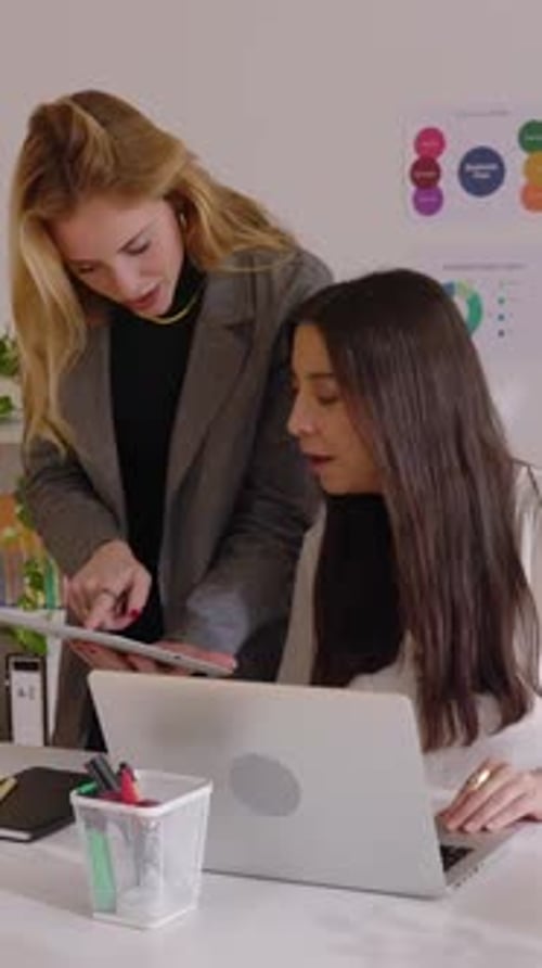 Two Professional Businesswomen Working Together on Laptop in the Office