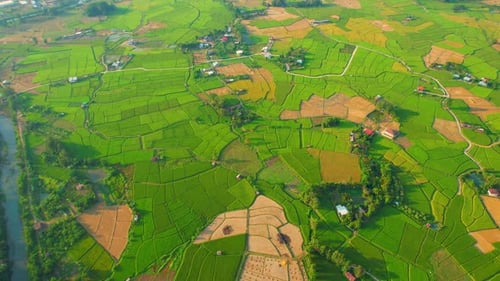 Aerial view over rice fields and villages