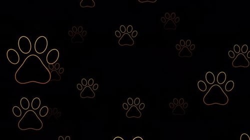 Animated Paw Prints Background Seamless Loop