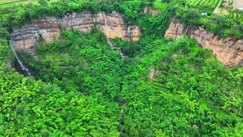 Majestic waterfall in lush forest, cascading from towering cliff.