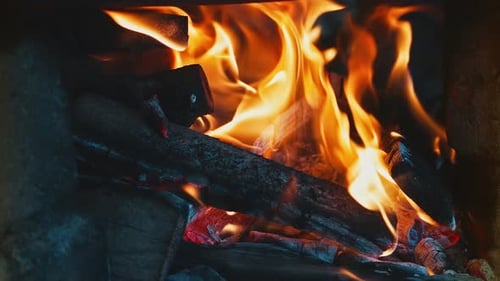 Camp Fire 4k