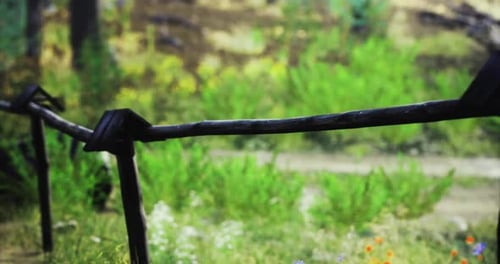 Wooden Fence Along a Grassy Path in a Serene Natural Setting