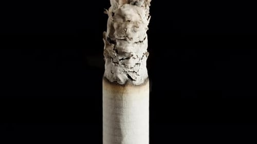 Gros plan d'une cigarette qui brûle lentement et dont la partie supérieure est ornée d'une ligne de cendre distincte.