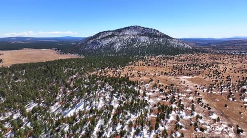 Aerial view of snow-capped mountains and forests, United States.