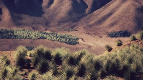 Red Rock Canyon National Park