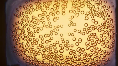 Abstract Amber Bubbles Close-Up