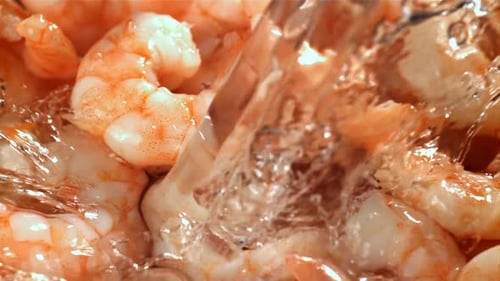 Water is Poured on Fresh Shrimp with Splashes Filmed on a Highspeed Camera at 1000 Fps