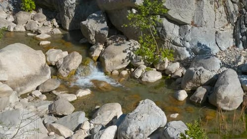 Clear Mountain Stream Flowing Through Rocks
