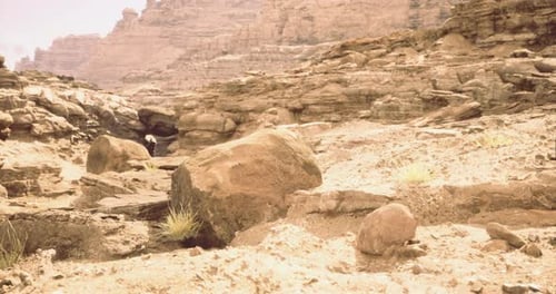 This Vast Desert Features Rugged Rocks and Unique Formations Under a Clear Sky