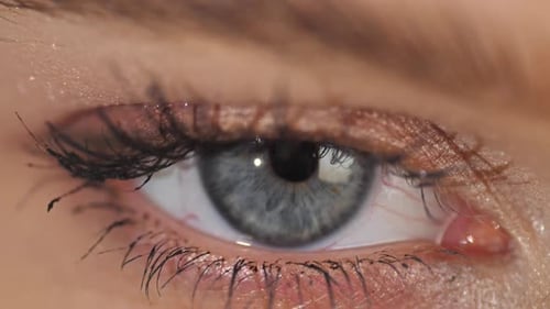 Striking Eye Close-Up Revealing Intricate Beauty