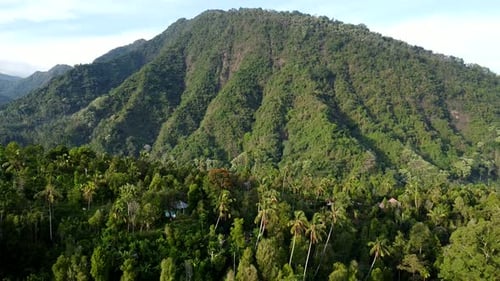 Aerial View Of Tropical Volcano Mountain And Lush Jungle Landscape